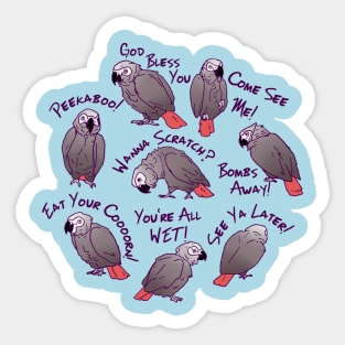 African Grey Parrots Funny Talking Sayings T-shirt Sticker